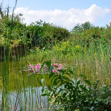 酒店 伯格维特酒店